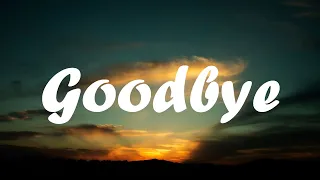 Mimi Webb - Goodbye (lyric video)