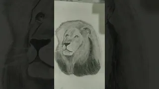 Beautiful lion by SKW ARTS #king #lion #art #sketch #youtube #shorts