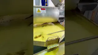 canola rapeseed oil pressing machine oil making machine