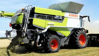 Claas Lexion 8800 with 45ft. MacDon FD245 Header harvesting grass seeds (4K)