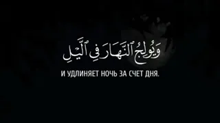 Коран | Фатыр [ Творец ] Аят 13/15 | Quran 🎙 Мухаммад аль-Люхайдан