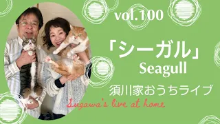 vol.100「シーガル」Seagull