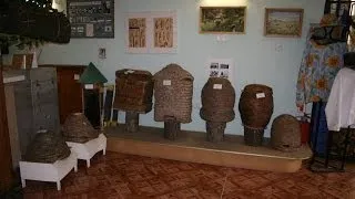 Inside Ukraine's Prokopovych Beekeeping Museum