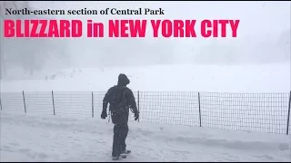 Winter Storm Jonas in New York City: Scenes from Central Park (2016)