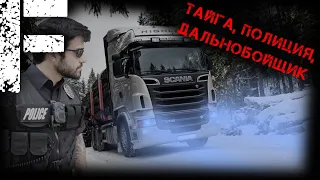 ТАЙГА, ПОЛИЦИЯ, ДАЛЬНОБОЙЩИК! Страшные Истории На Ночь!