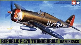 Tamiya 1/48 P-47D Thunderbolt I Kit Review I