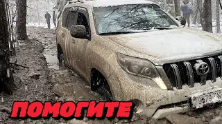 КАК СПАСТИ ИЗ БОЛОТА БОЛЬШОЙ ВНЕДОРОЖНИК? | ЧТО МОЖЕТ МАЛЕНЬКАЯ НИВА против TOYOTA TUNDRA