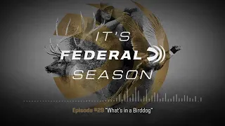 It's Federal Season: Episode #29 “What’s in a Birddog”