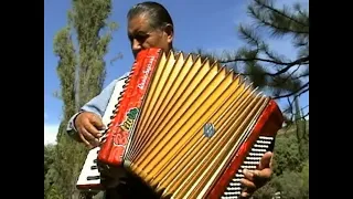 Sarita || HUAYÑITOS De ANTAÑO ||  MACARIO PINTO (Sentimiento de Acordeón)