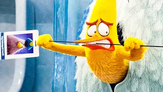 Chuck steals the Keycard Scene - THE ANGRY BIRDS MOVIE 2 (2019) Movie Clip