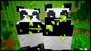 Alles was du über Minecraft Pandas wissen musst ! | Minecraft Was musst du Wissen Pandabären