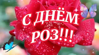 Поздравляю с Днём РОЗ! 21 МАЯ ВСЕМИРНЫЙ ДЕНЬ РОЗ! Розы для тебя! Красивое поздравление в День Роз!