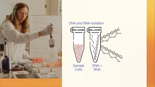 Multiomics Quick Start: Sequencing DNA and RNA from the same sample