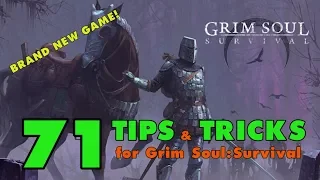 Grim Soul Survival: 71 Tips and Tricks for Grim Soul Dark Fantasy Survival