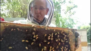 Legendary economist Gary Shilling is also an amateur beekeeper