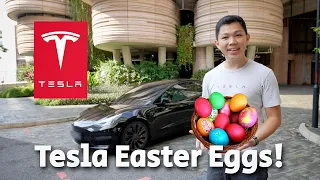 TESLA Easter Eggs (Hidden Modes & Voice Commands)!