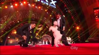 AMERICAN GOT TALENT TOP 6 RESULT SHOW OLATE DOGS  WINNER OF AGT2012