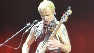 Red Hot Chili Peppers Manchester Arena December 14th