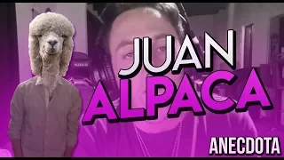 Juan ALPACA - Anecdota | MomoLaDinastia
