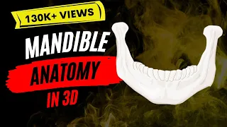 Mandible : Favorite bone of dentists?