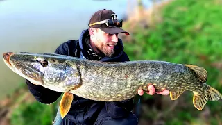 4 Venues and Giant canal Pike !!!