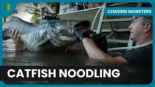 Catfish Noodling - Chasing Monsters - Nature & Adventure Documentary