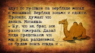 Монашка Раздела Монаха в Пустыне! Сборник смешных анекдотов для настроения!