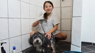 NAJAS FRISØR SALON MED MIN HUND