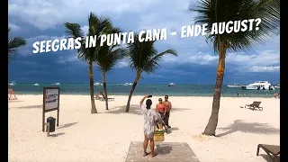 Algen in Punta Cana Ende August? 😱 🇩🇴