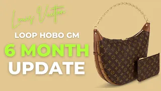 LV LOOP HOBO GM 6 MONTH UPDATE