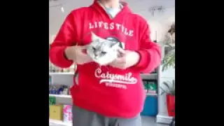 Cat Pocket Hoodie