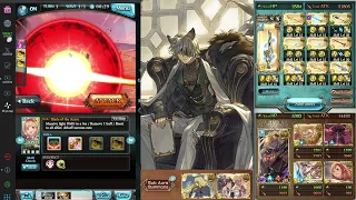 [GBF] Light GW EX+ 24m OTK 1B0C & NM95 1 Turn /【グラブル】光 24m OTK 1B0C & 95hell