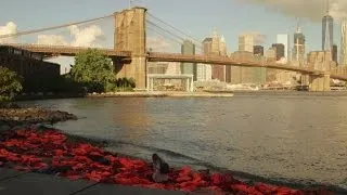 Life jackets worn by refugees displayed in NYC ahead of UNGA