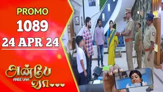 Anbe Vaa Promo 1089 | 24/4/24 | Review | Anbe Vaa serial promo | Anbe Vaa 1089
