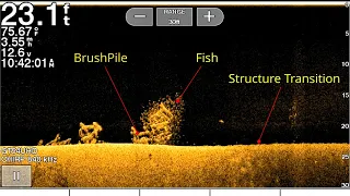 Down Imaging Best Settings (How to use Fish Finder)