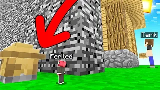 FERİTED VS MİNECRAFT #246