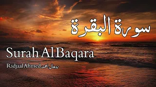 Surah Al Baqara سورة البقرة - Ridjaal Ahmed ردجال احمد - Quran Voice