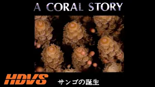 Sony's Coral Story (1989 Analog HDTV 1080i HDVS Video Demonstration Disc)