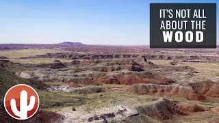 Surprising COLOR Can Be Found in the PETRIFIED FOREST NATIONAL PARK | Painted Desert | Arizona