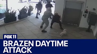 Brazen West Hollywood attempted robbery caught on camera; victim fights off 3 attackers