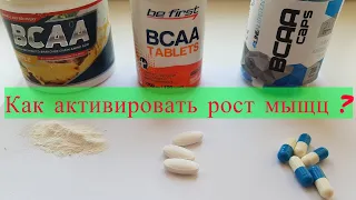 BCAA — для чего нужны? Какие выбрать и как использовать?