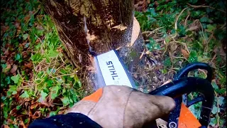 Chainsaw - Danish Pie Cut - Chestcam