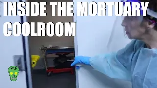 Step inside the mortuary cool room