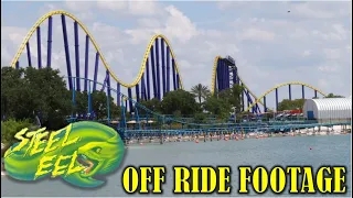 Steel Eel at Sea World San Antonio Off-Ride Footage (No Copyright)