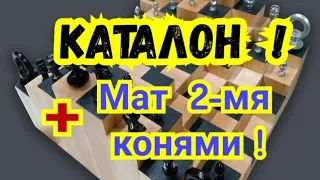 6) Каталон ! Из дебюта в  эндшпиль!    11)    Мат двумя конями!