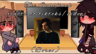 The Goldfinch reacts to tiktoks/videos (Boreo) [] The Goldfinch [] Boreo [] Fw? [] GC