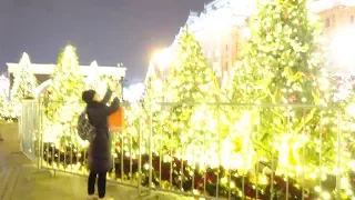 Moscow Journey to Christmas festival 2017-18, Magic forest. Путешествие в Рождество. Волшебный лес