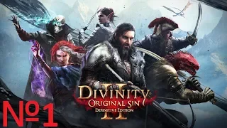 Divinity Original Sin 2 Definitive Edition №1 Начало игры