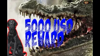 CROCODILE EATS DOG IN JAMAICA - USA AMBASSADOR OFFER $5000 USD REWARD FOR OFFENDERS CAPTURE