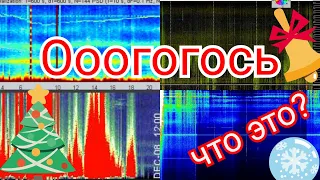 Нереальный график в Томске, обзор графиков Резонанса Шумана из разных стран 8,12,2021 и 9,12,2021год